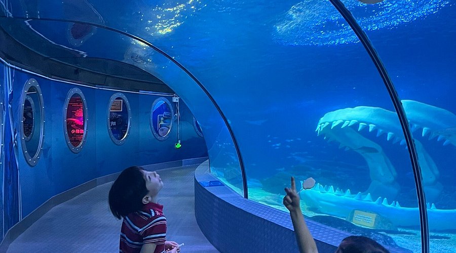 Shanghai Ocean Aquarium